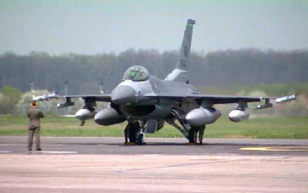 Dog fight de zile mari la #bias2018
