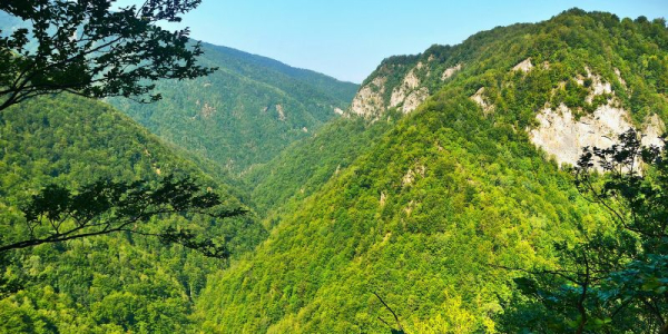 A fost finalizat cu succes auditul anual pentru pădurile proprietatea publică a statului administrate de RNP