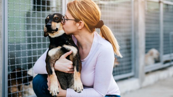 78% dintre gospodăriile din România au un animal de companie