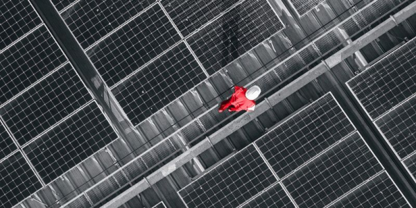 CIS Group builds a 23 MW photovoltaic park in Copșa Mică