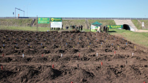 30 de hectare de perdele forestiere realizate în campania de împăduriri de primăvară