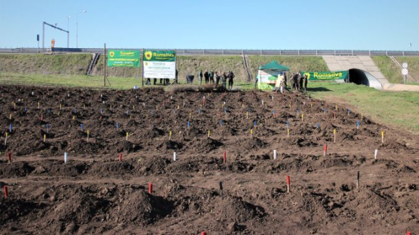 30 de hectare de perdele forestiere realizate în campania de împăduriri de primăvară