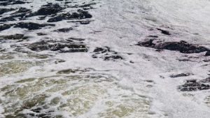 Peste 1 milion de tone de apă radioactivă de la Fukushima vor fi deversate în ocean