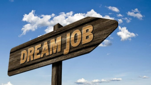 Bestjobs: Record istoric de peste 700.000 de CV-uri depuse online în luna august 2023