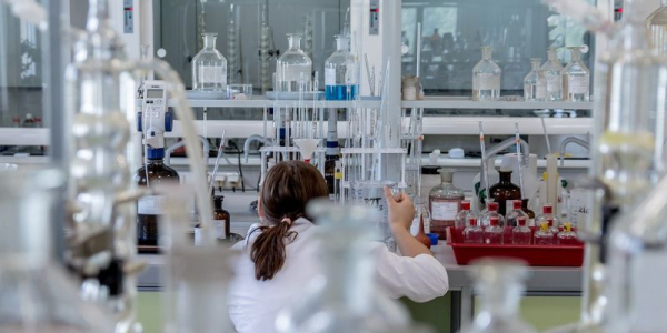 ULTIMA ORĂ. Auditul efectuat în aprilie 2024 Laboratorului Central pentru Calitatea Semințelor și a Materialului Săditor (LCCSMS) din România de către Rosselkhoznadzor a fost trecut. Vom exporta semințe în Federația Rusă?